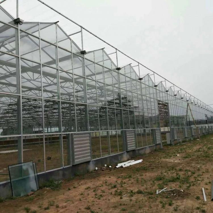 厂家直供镀锌温室连体大棚 蔬菜花卉水果大棚