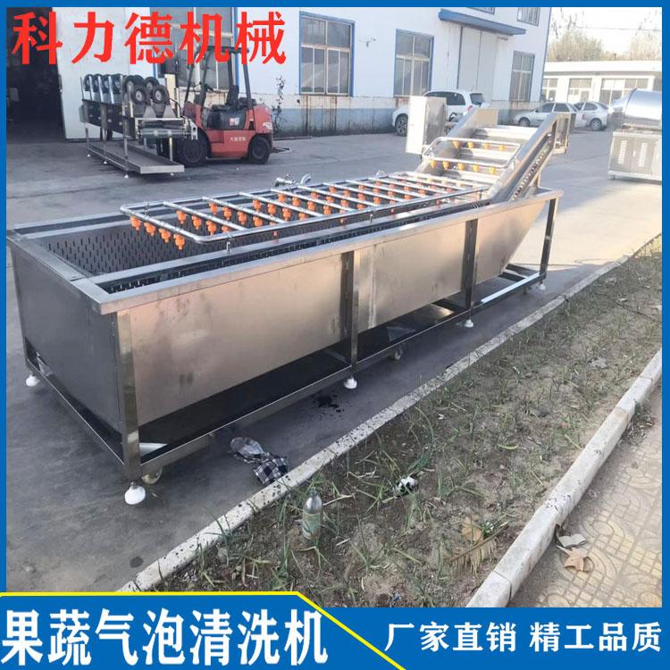 气泡清洗机 芒果百香果火龙果热带水果清洗机 蔬菜清洗机