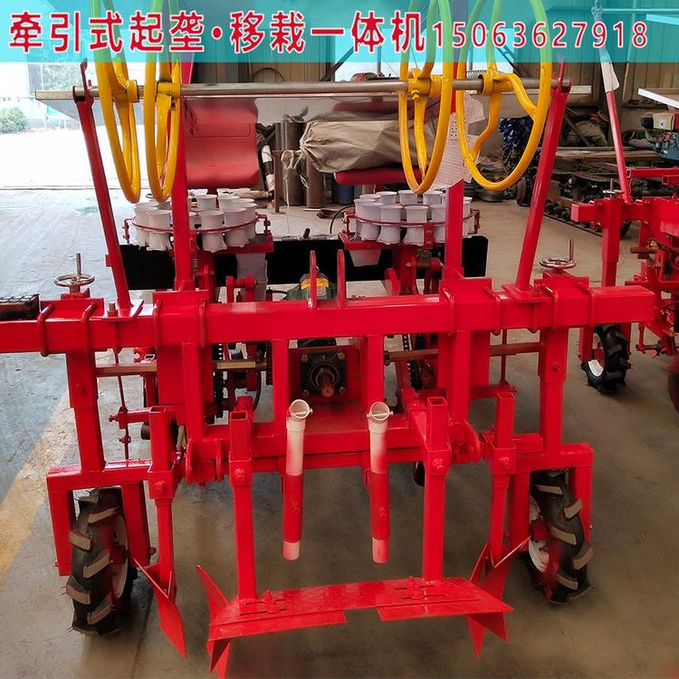 洋葱移栽机供货商 质量保障 山东洋葱移栽机