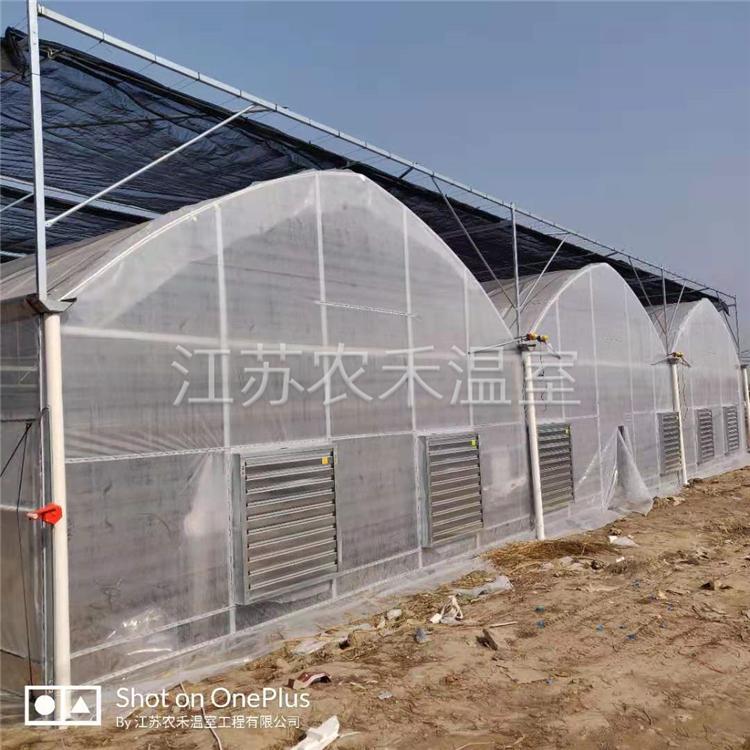 宁德智能连栋温室大棚生产厂家   温室大棚建造