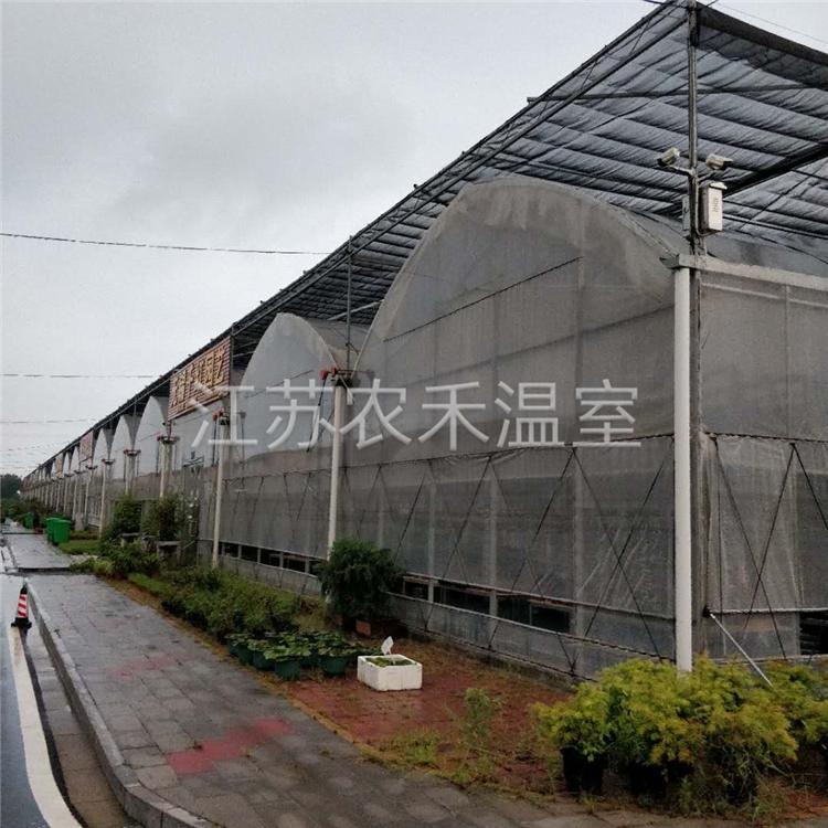 镇江外遮阳连栋温室大棚厂家直销   火龙果大棚