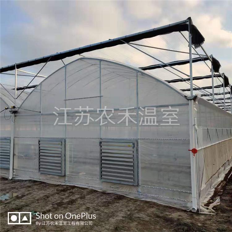 那曲葡萄避雨棚生产厂家   连栋大棚材料