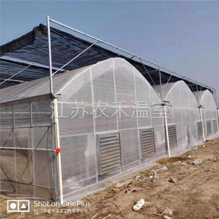 那曲花卉育苗种植大棚生产厂家   农业温室大棚