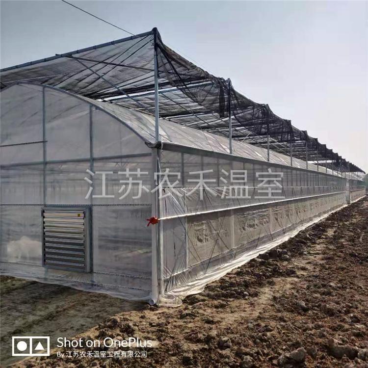 巢湖葡萄避雨棚厂家直销   农业设施