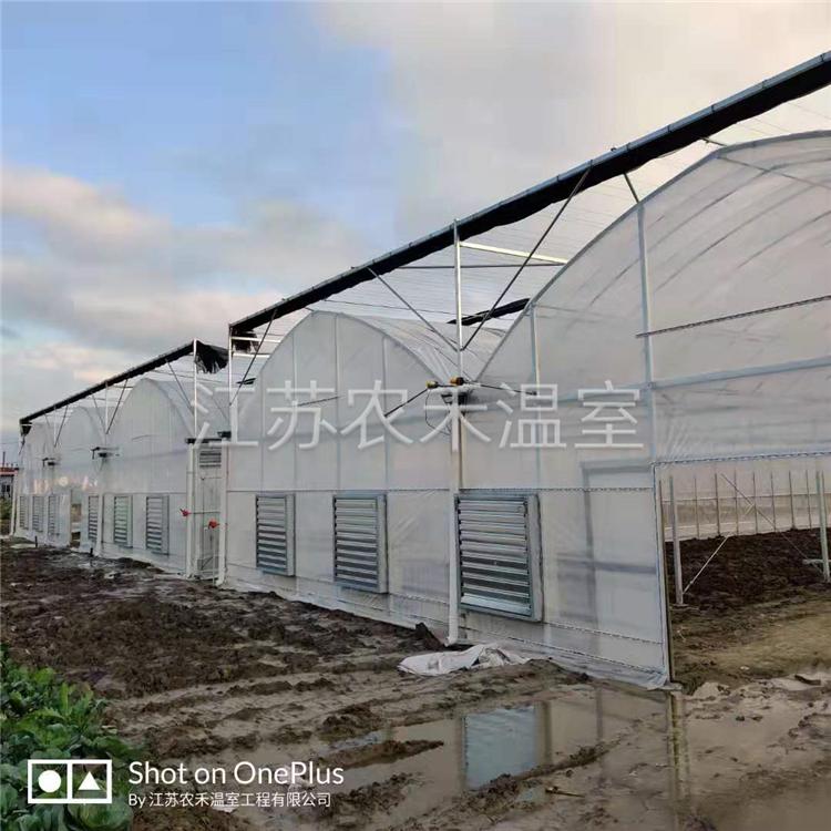 梧州葡萄避雨棚厂家直销   新式大棚
