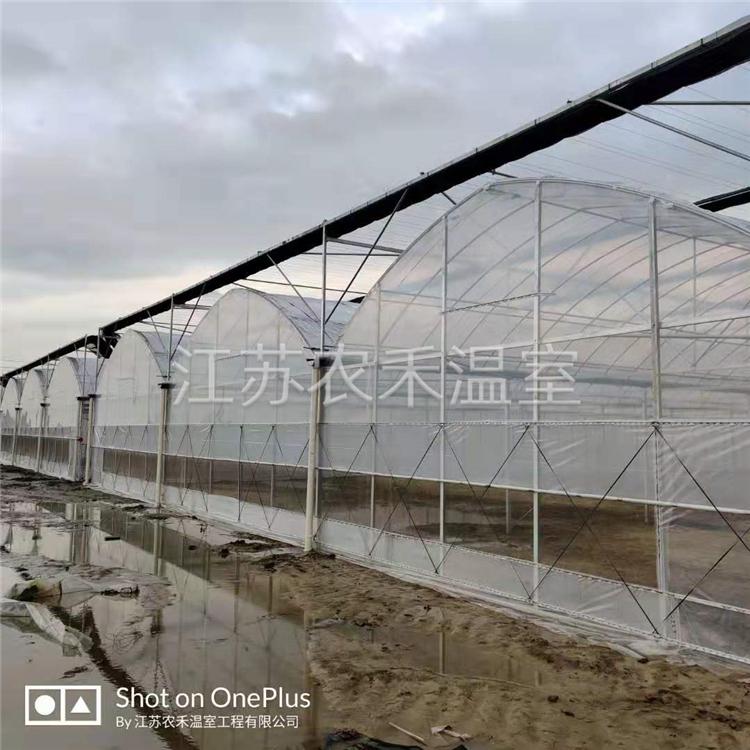 厦门风机湿帘智能连栋温室厂家直销   葡萄避雨棚