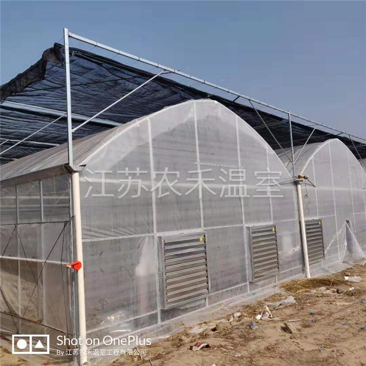 宁德智能连栋温室大棚厂家直销   蔬菜育苗