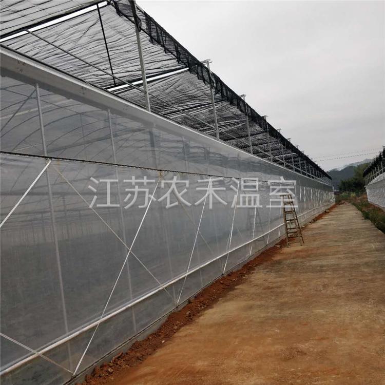 梧州风机湿帘智能连栋温室生产厂家   主副拱连栋大棚