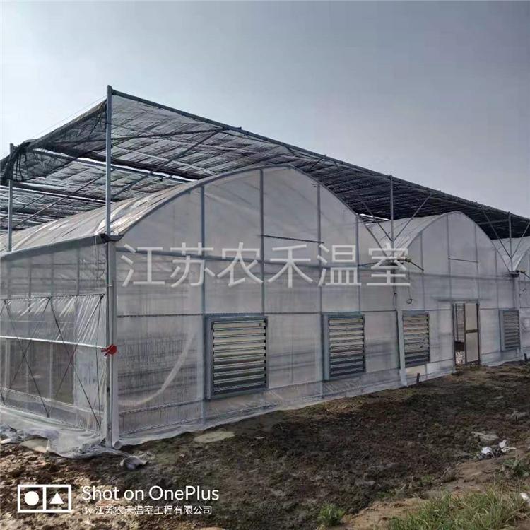 镇江薄膜连栋大棚厂家直销   花卉养殖大棚
