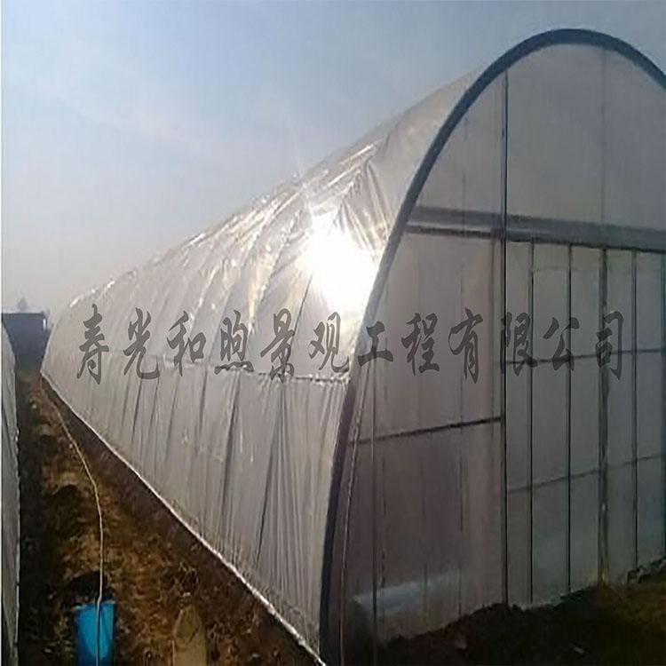 温室大棚 大棚 温室大棚设计建设