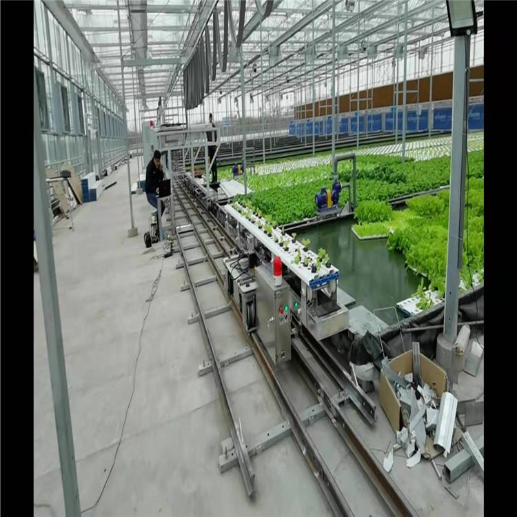 水培叶菜自动化采收系统   园区规划设计运营方案行情