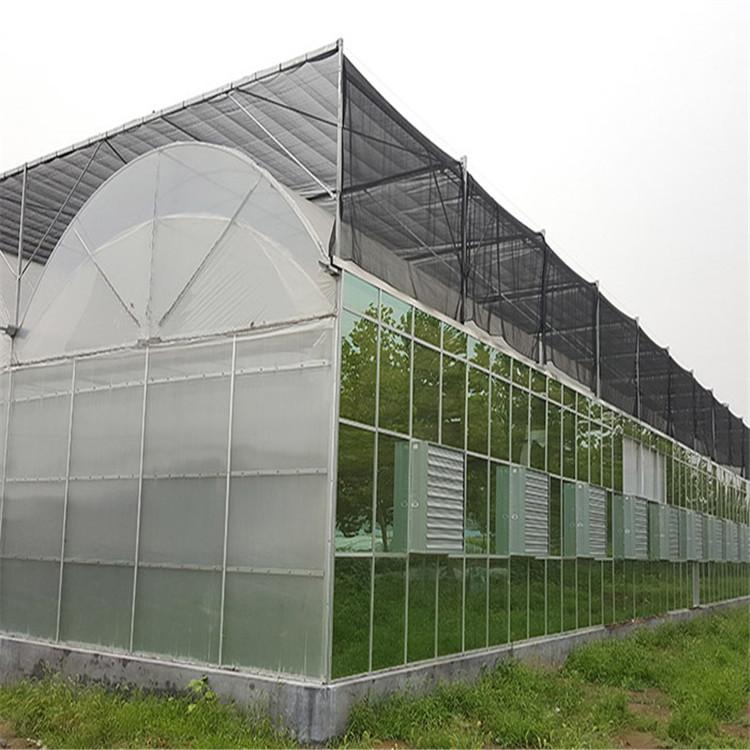 山东连栋薄膜温室工程 温室承接 薄膜温室