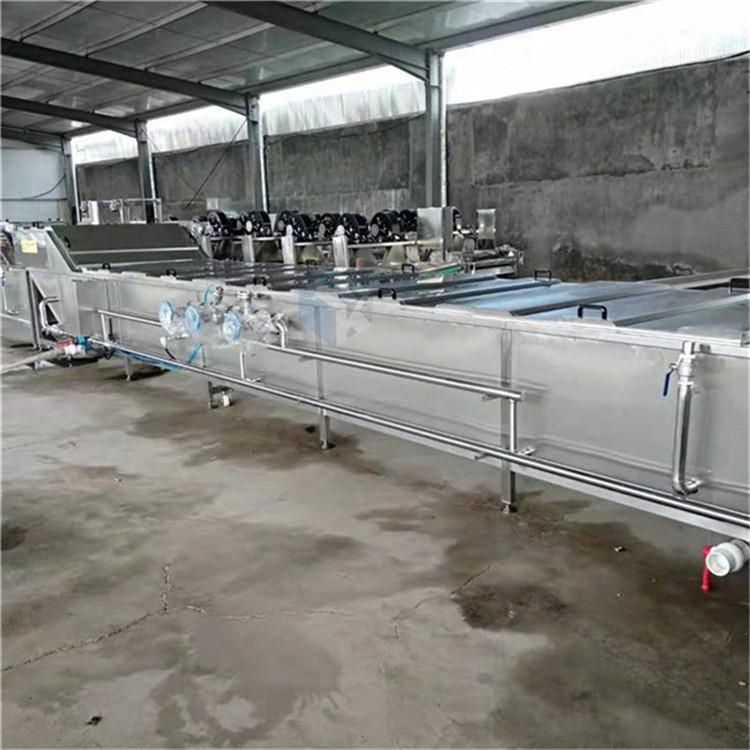 鸡枞菇蒸煮漂烫机 可根据客户要求加工定制 不锈钢连续式蒸煮漂烫设备