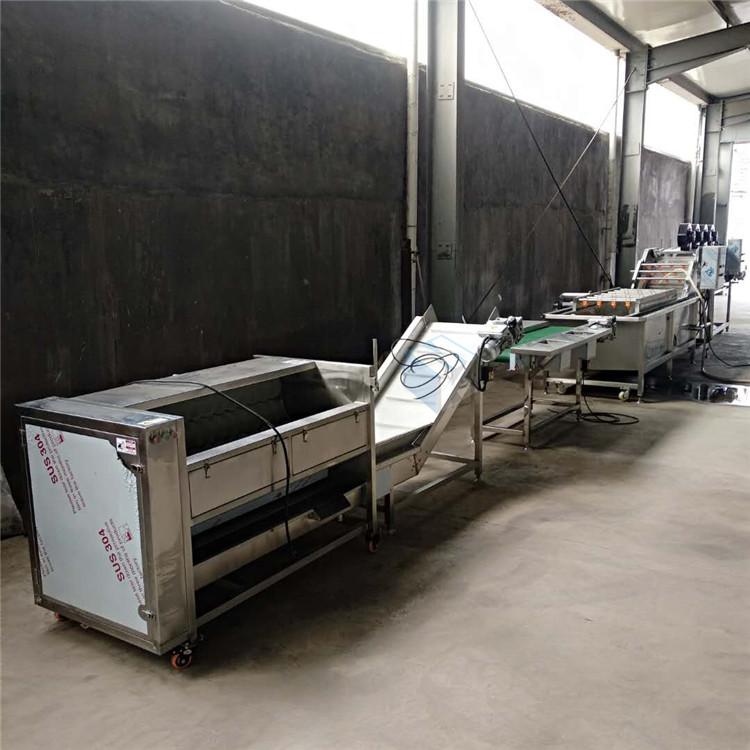 中央厨房净菜加工流水线设备 果蔬加工生产线 土豆丝加工设备生产厂家 防腐蚀型