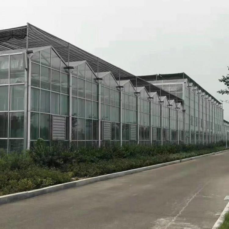 鋆成兴达设计安装 新型玻璃温室大棚  智能玻璃连栋温室大棚