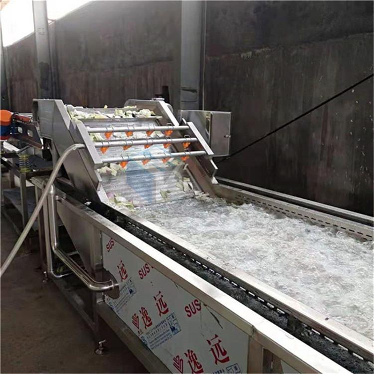 工厂化蒜薹清洗流水线 中央厨房净菜加工设备 厂家直销价质量保证防腐蚀