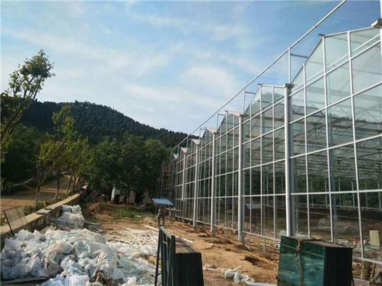 欢迎咨询潍坊鋆成兴达 连栋温室工程建设 玻璃钢连栋温室报价