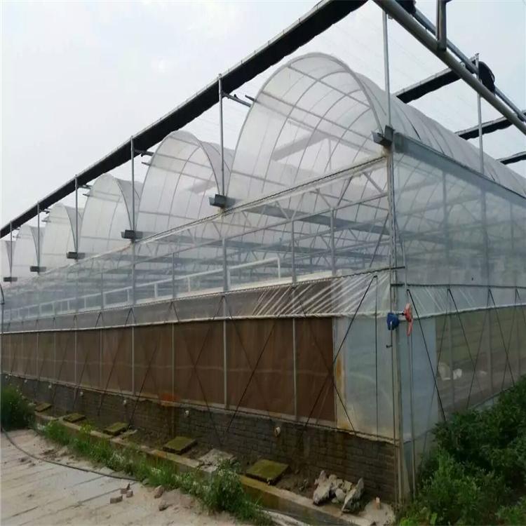 青州鸿川温室 连栋薄膜温室建造商 连栋温室大棚建设