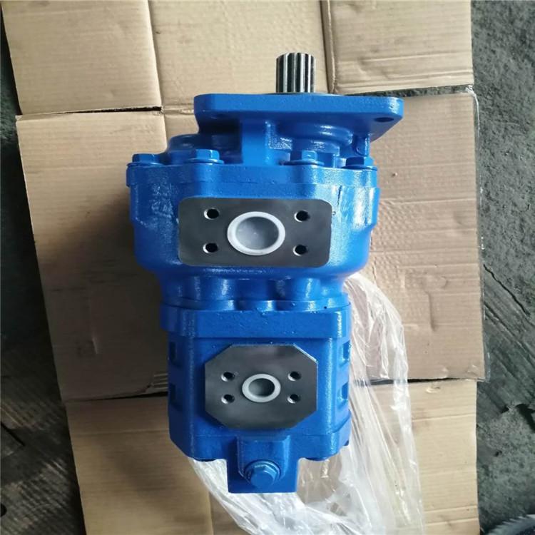 临工968F工作泵 双联齿轮油泵 1124232290 佳和液压