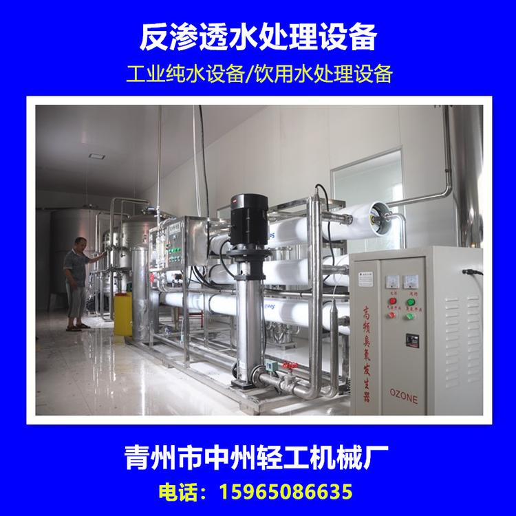 反渗透纯净水设备桶装水瓶装水生产设备 1-50吨反渗透纯水设备生产线