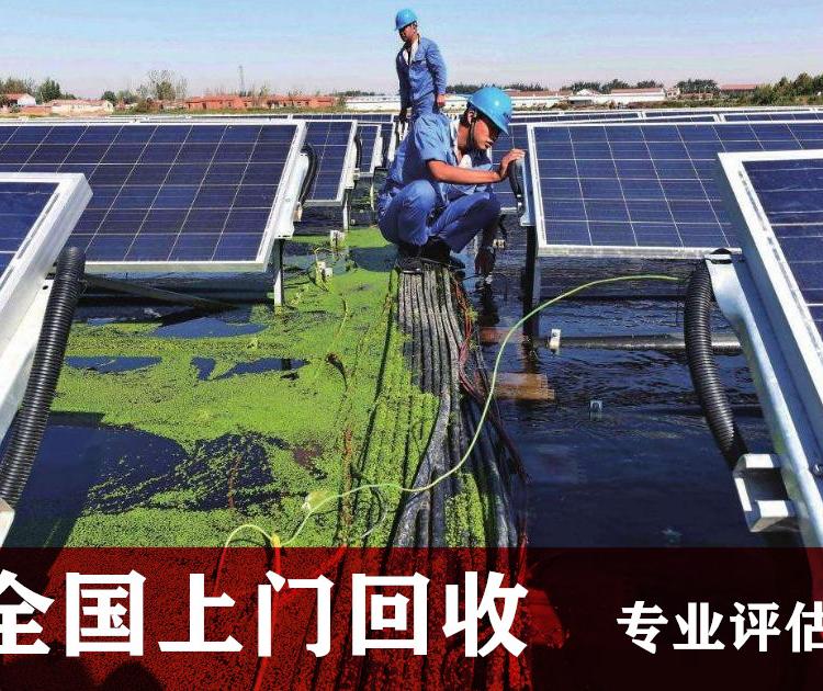 降级组件回收 13621856008 光伏太阳能板分类回收 电站未通电光伏组件回收