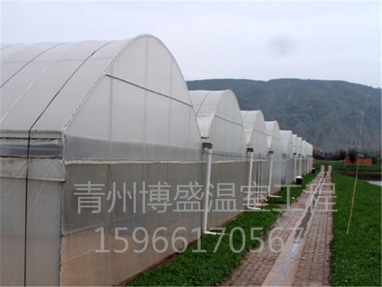 制作双拱双膜连栋大棚 薄膜保温阳光大棚