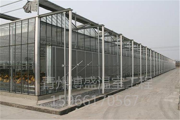 连栋薄膜蔬菜大棚 双拱双膜保温棚 果树种植简易农业大棚建设