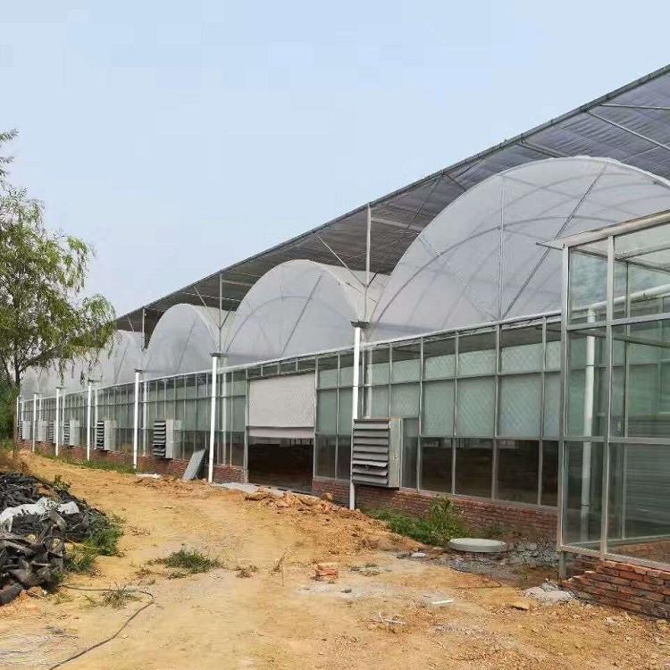 双拱双膜智能大棚 双层膜连栋温室