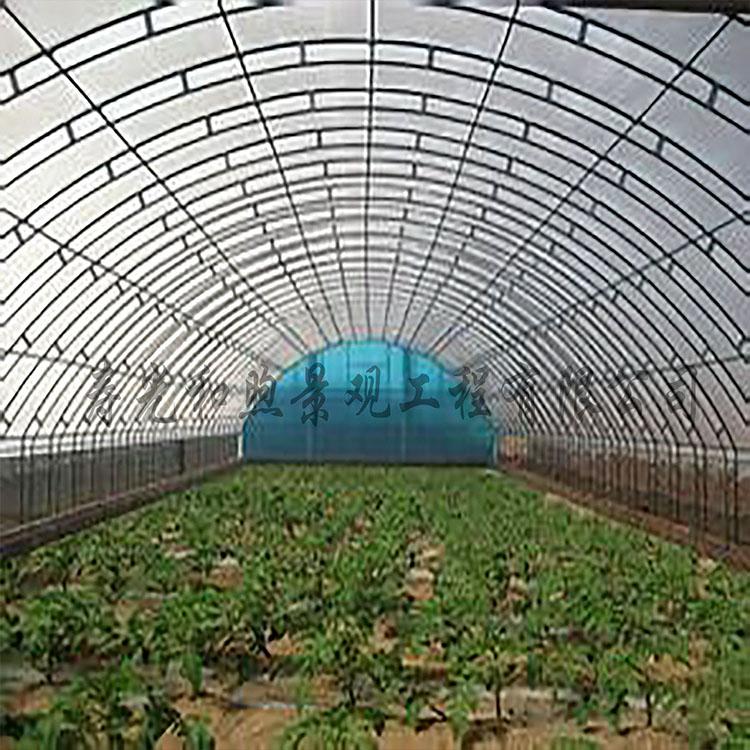 温室大棚 圆管温室大棚 保温性能好大棚 温度稳定 温室大棚设计