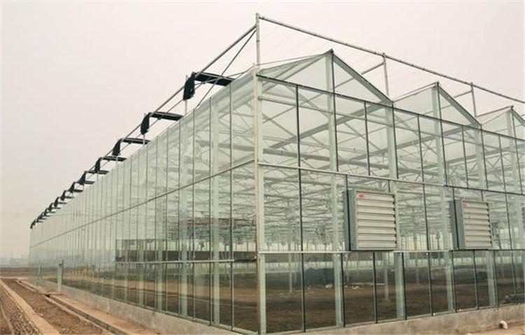 生态餐厅温室大棚设计建设 玻璃智能温室工程