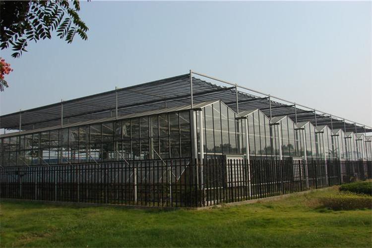 生态园餐厅智能玻璃温室大棚施工队