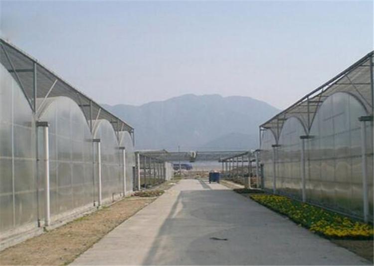 阳光板文洛温室大棚建设