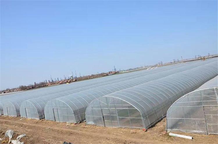 值得信赖_日光温室大棚_种植农业