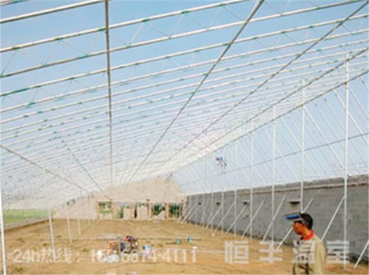 恒丰温室 日光大棚建设    钢结构大棚