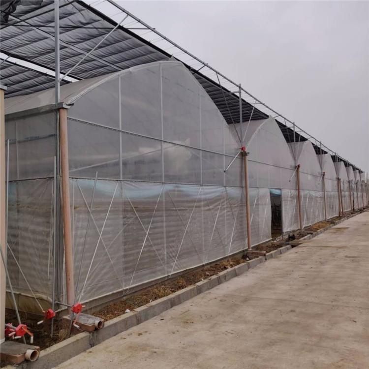 连栋双拱薄膜温室大棚 双拱双膜温室大棚薄膜温室大棚