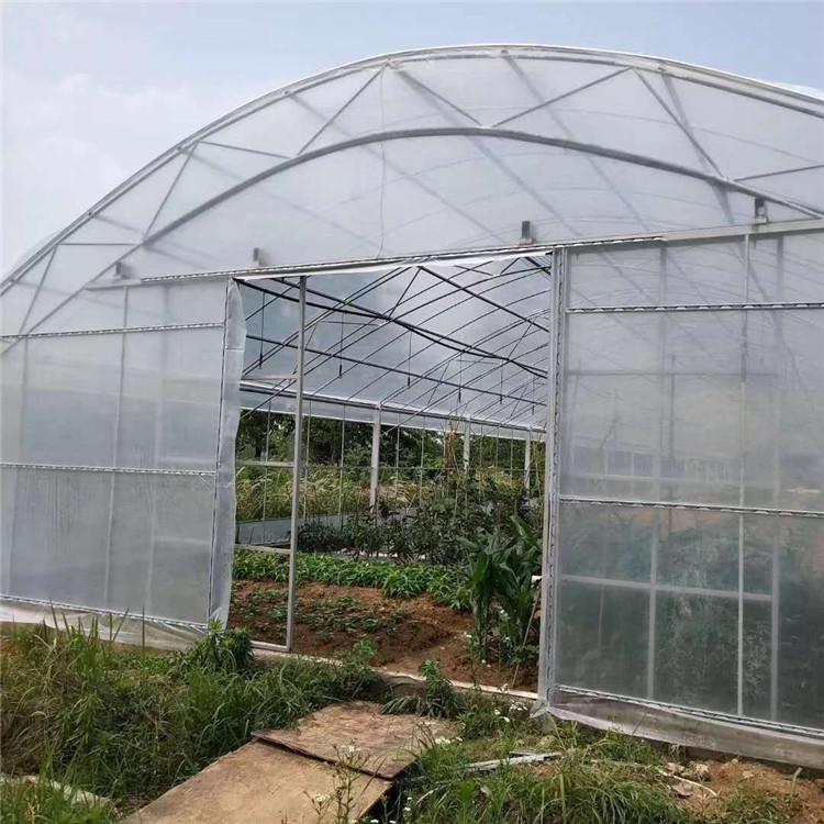连栋薄膜温室花卉大棚 双膜骨架建设 水肥一体化