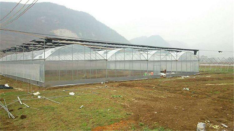 单拱智能连栋温室 智能化连栋温室造价