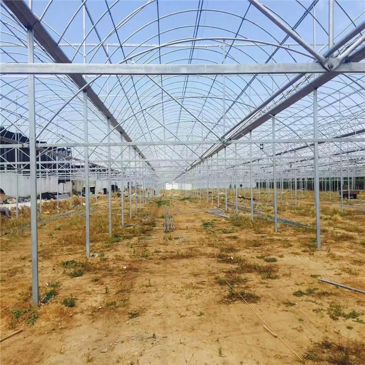 蔬菜大棚建设 蔬菜大棚制造