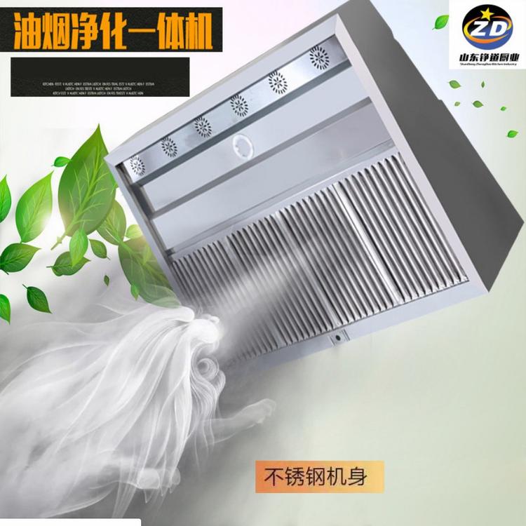 烟罩式油烟净化一体机抽油烟机净化器