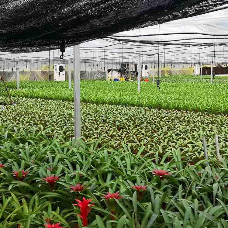 厂家直销水源一体机 水源热泵批发价格 商家品质可信赖