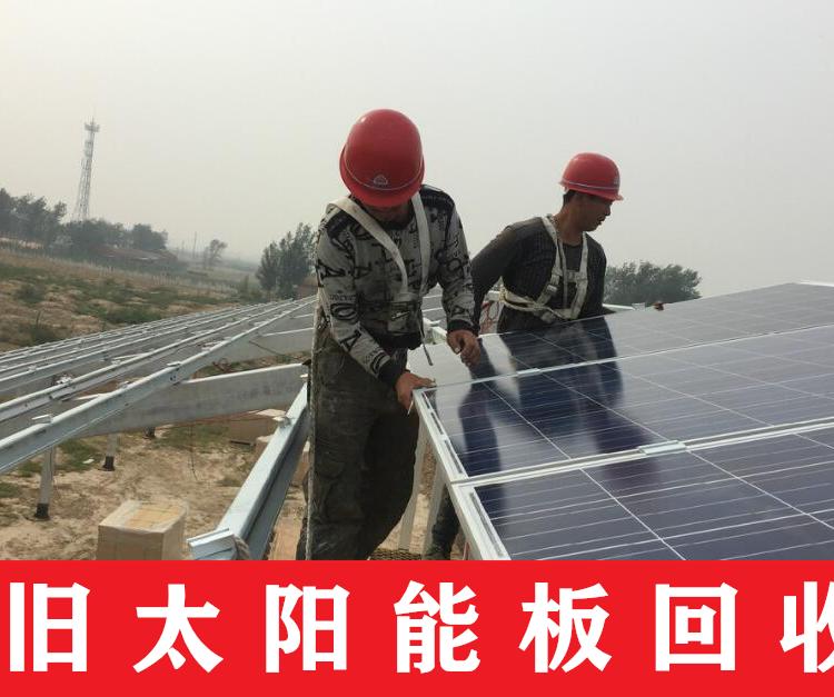 韦恩公司回收太阳能板 单晶多晶工厂降级组件回收全国各地上门看货
