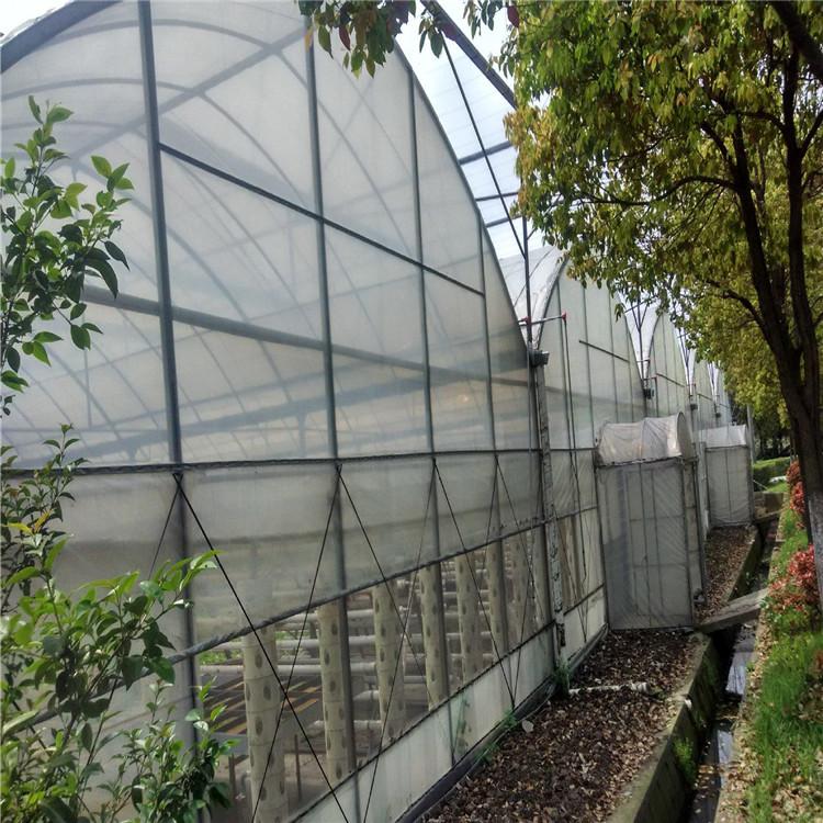 承建连栋薄膜温室大棚 薄膜温室大棚造价 鸿川温室