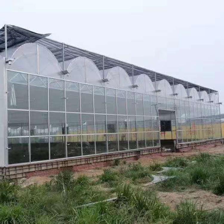 农业温室大棚建造 承建农业温室大棚 值得信赖