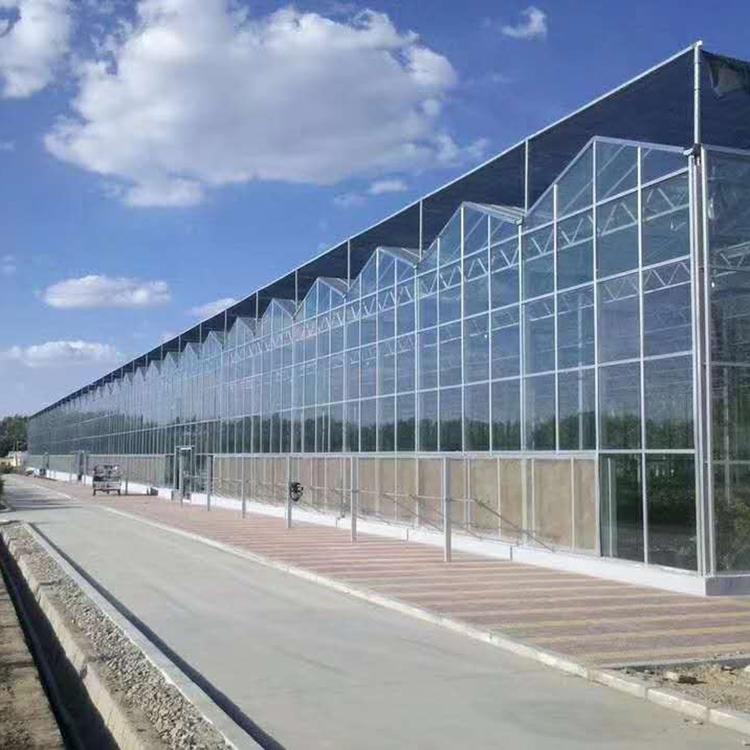 玻璃温室-花卉温室大棚建设 玻璃温室大棚建造