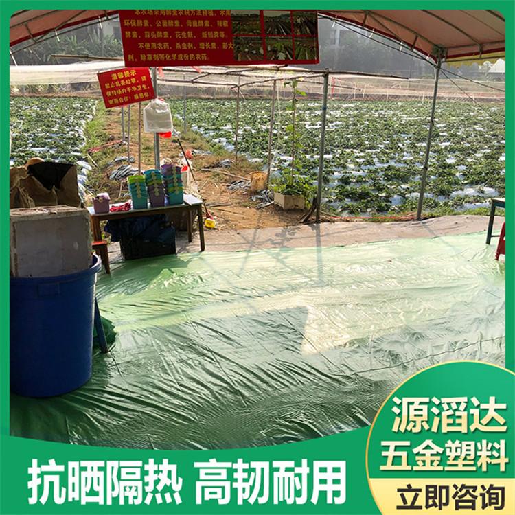 广东农田 土工膜 彩布条 覆盖布 源滔达厂家 精品加工