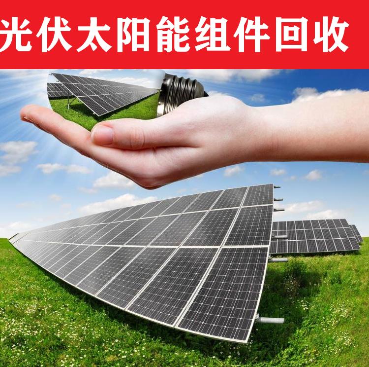 江浙沪光伏板回收 东北吉林光伏板回收 甘肃贵州光伏板回收 韦恩光伏板上门回收