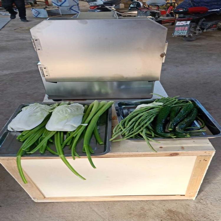 切片机 切段机 学校专用切菜机