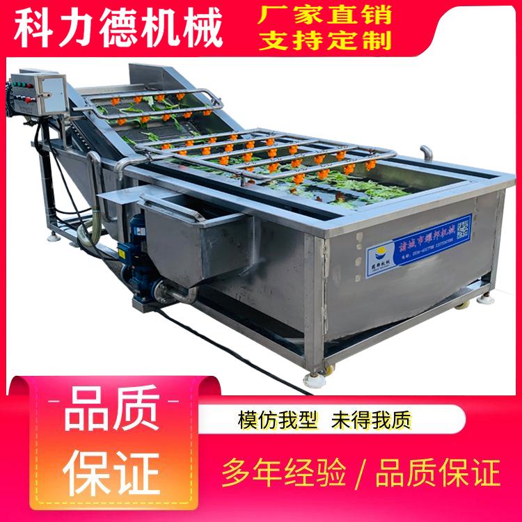 厂家直销全自动蔬菜清洗机 气泡净菜机 多功能净菜去杂机 果蔬加工流水线 大型蔬菜洗菜机