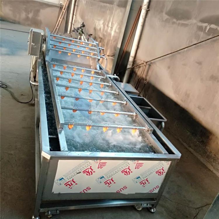 厂家供应小龙虾清洗机 海产品清洗设备 鱿鱼圈（筒）清洗流水线价格