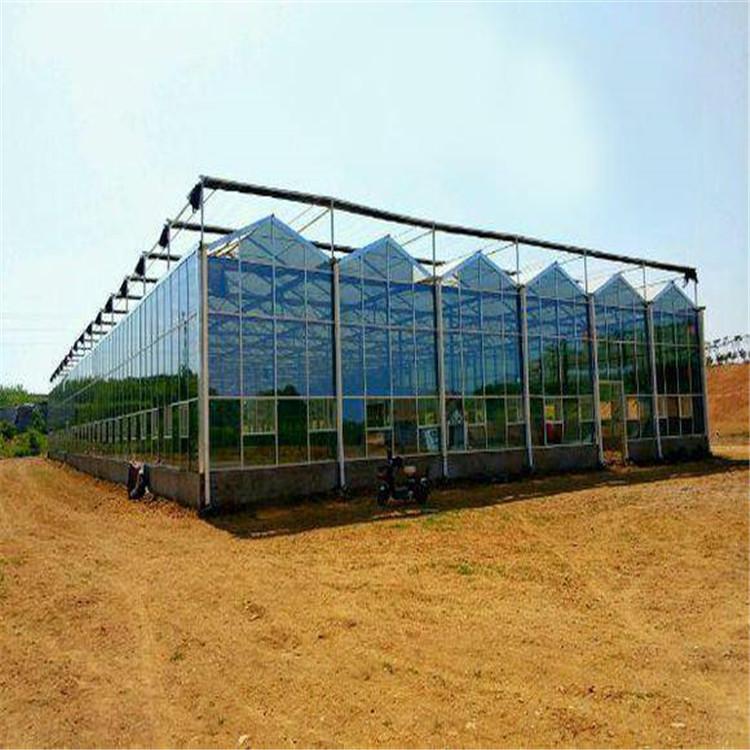 智能温室建造商 农业智能温室 山东温室大棚建造设计 鸿川